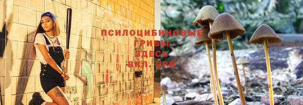 МДПВ Алексеевка