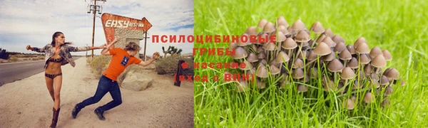 МДПВ Алексеевка